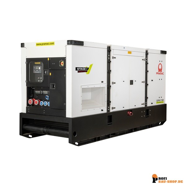 pramac/Pramac_GRW250BS5_4