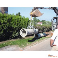 probst/Probst_54500002