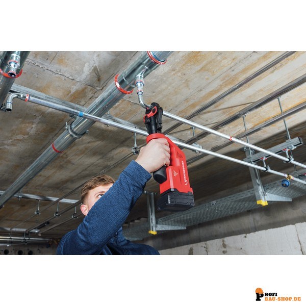 rothenberger/Rothenberger_1000004263_6