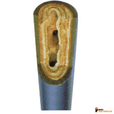 rothenberger/Rothenberger_61190_2