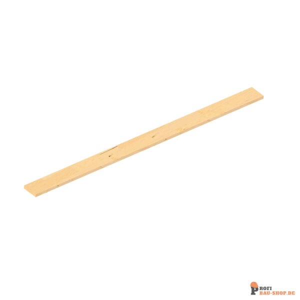 schake/Schake_103125_0