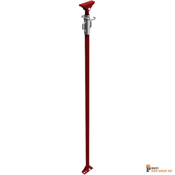 schake/Schake_11793_3D1