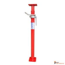 schake/Schake_11825P