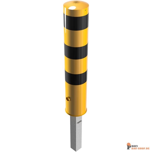 schake/Schake_40191FBG_3D3