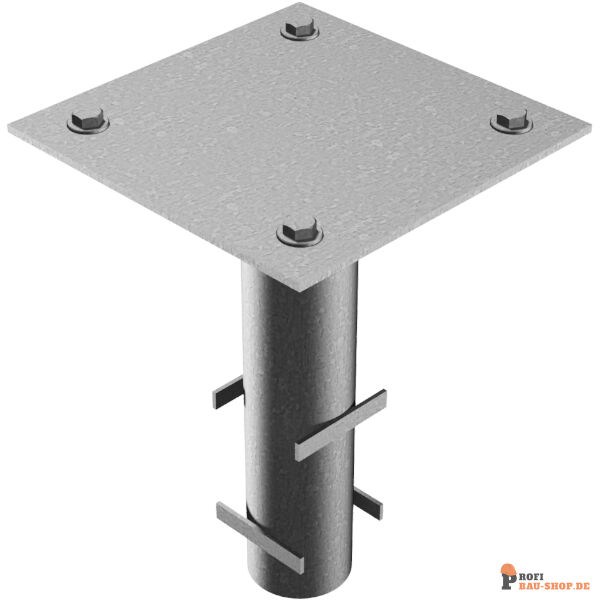 schake/Schake_411_91_3D3