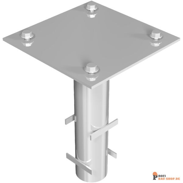 schake/Schake_415_91_3D1