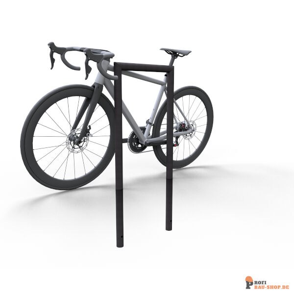 schake/Schake_447_09B_3D2