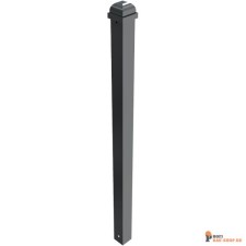 schake/Schake_473B_3D1