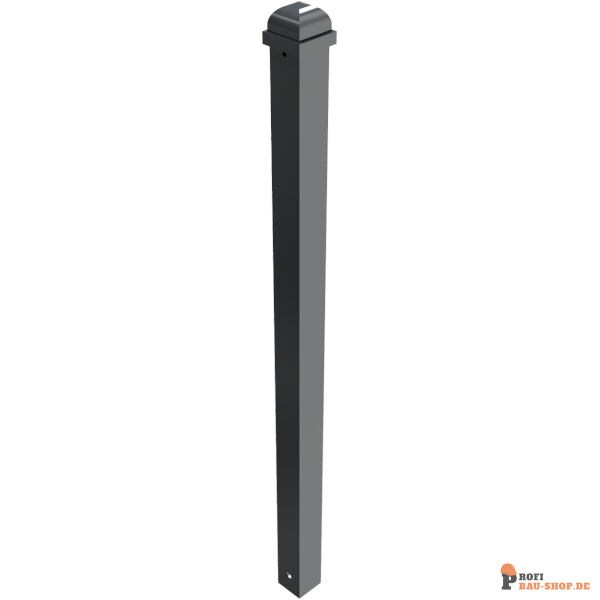 schake/Schake_473B_3D1