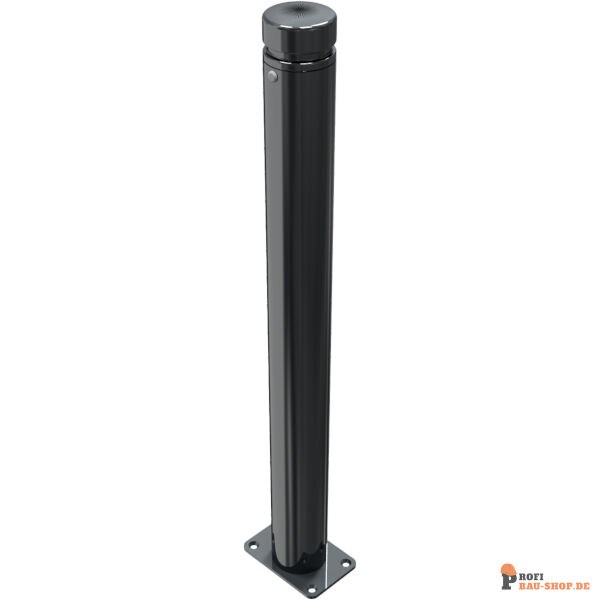 schake/Schake_482PB_3D1