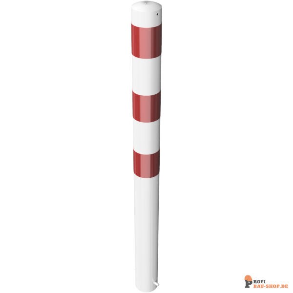 schake/Schake_491B_3D3